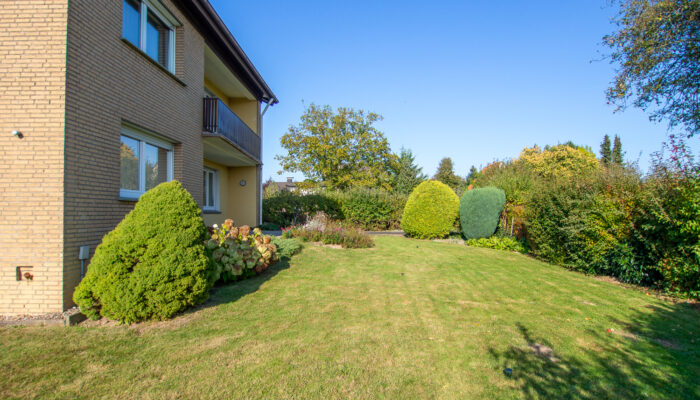 11169 Garten