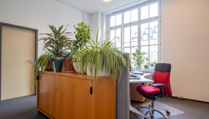 20825 Büro (2)