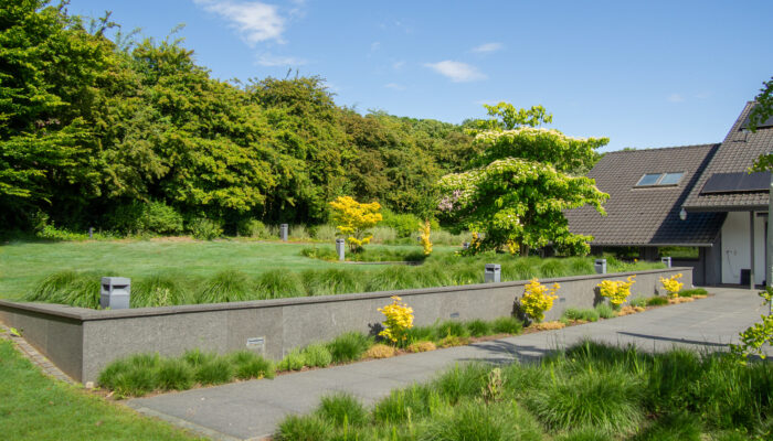 11123 Terrassen (2)