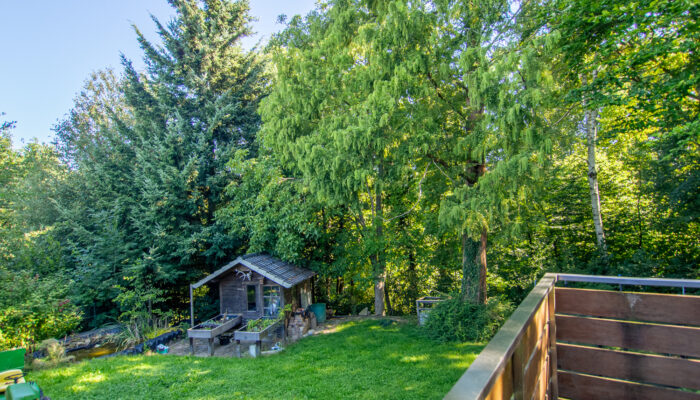 11133 Blick Terrasse