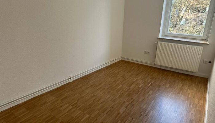 11108 Zimmer (1)