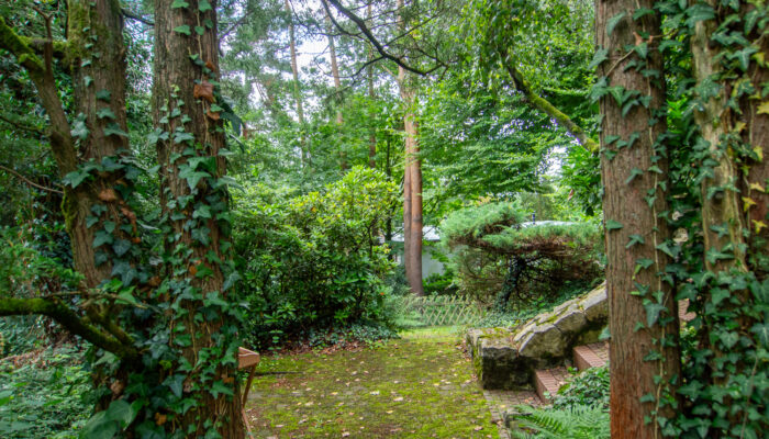 11131 Garten u. Terrasse