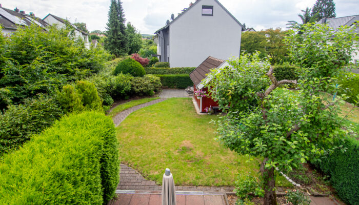 11129 Blick in den Garten