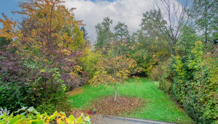 11137 Gartenansicht