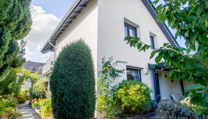 11138 Rückansicht (1)