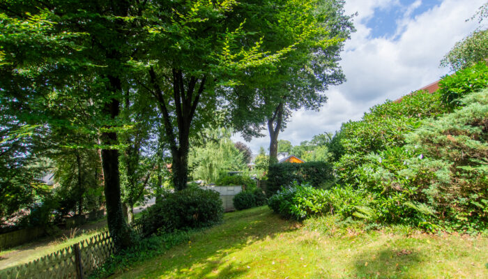 11131 Garten (2)
