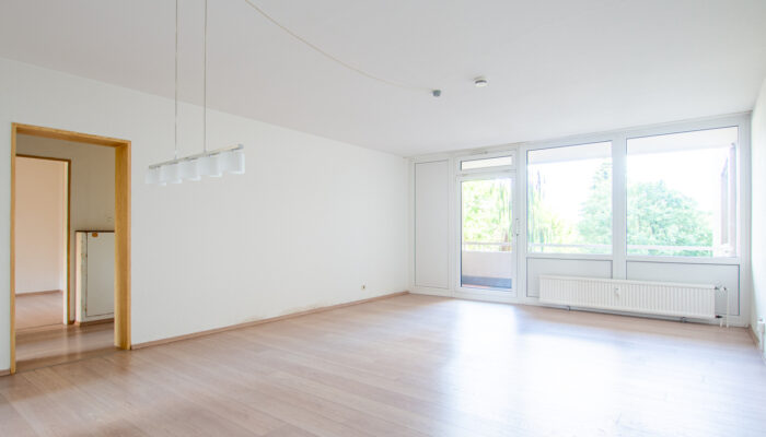 Real Estate Title Image Background