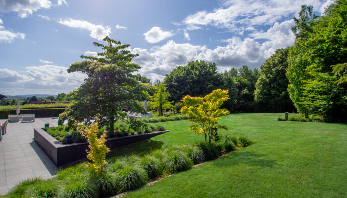 11123 Gartenansicht
