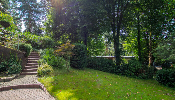 11131 Garten
