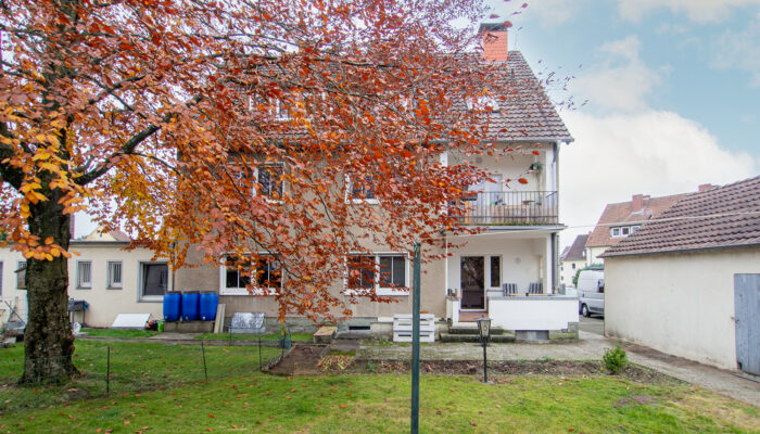 11136 Rückansicht 2