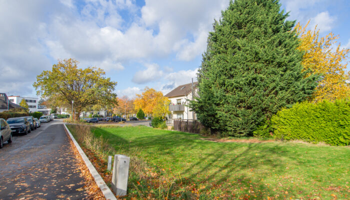 11141B Garten u. Grundstück (3)